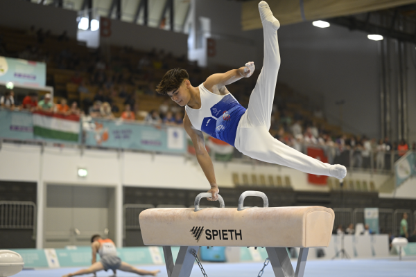De belles perspectives en gymnastique artistique